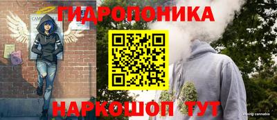 шишки Ликино-Дулёво