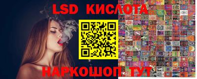 шишки Лесосибирск