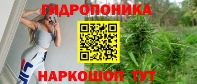 сатива Ливны